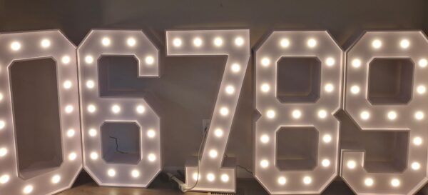 Light-Up 4ft Number Marquee