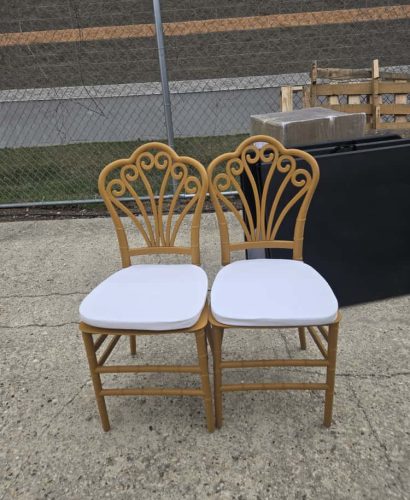 WhatsApp Image 2025-09-26 at 4.19.59 PM (1)